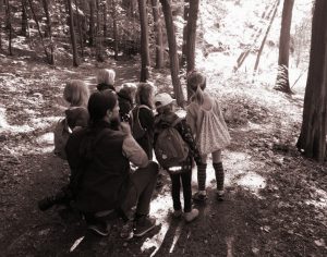 Kids entdecken den Wald_a.kirchner